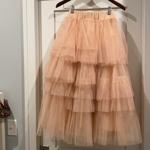 ChicWish Tulle Skirt